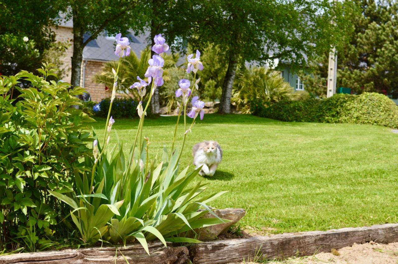 La Pichonniere Bed & Breakfast Isigny-le-Buat Exterior foto