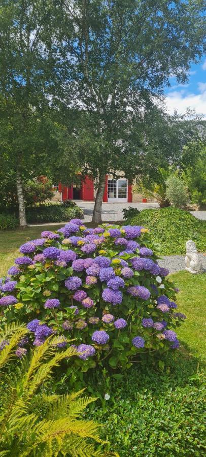 La Pichonniere Bed & Breakfast Isigny-le-Buat Cameră foto